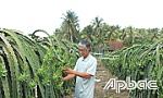 Huyện Chợ Gạo thực hiện tốt Chương trình giảm nghèo