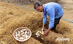 Đổi thay trên xã nông thôn mới Mỹ Phước Tây
