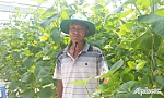 Những điển hình về phát triển kinh tế gia đình