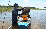 ĐBSCL: Lũ sẽ đạt đỉnh trong vài ngày tới
