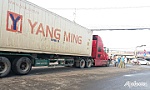 Va chạm với xe container, một phụ nữ nguy kịch