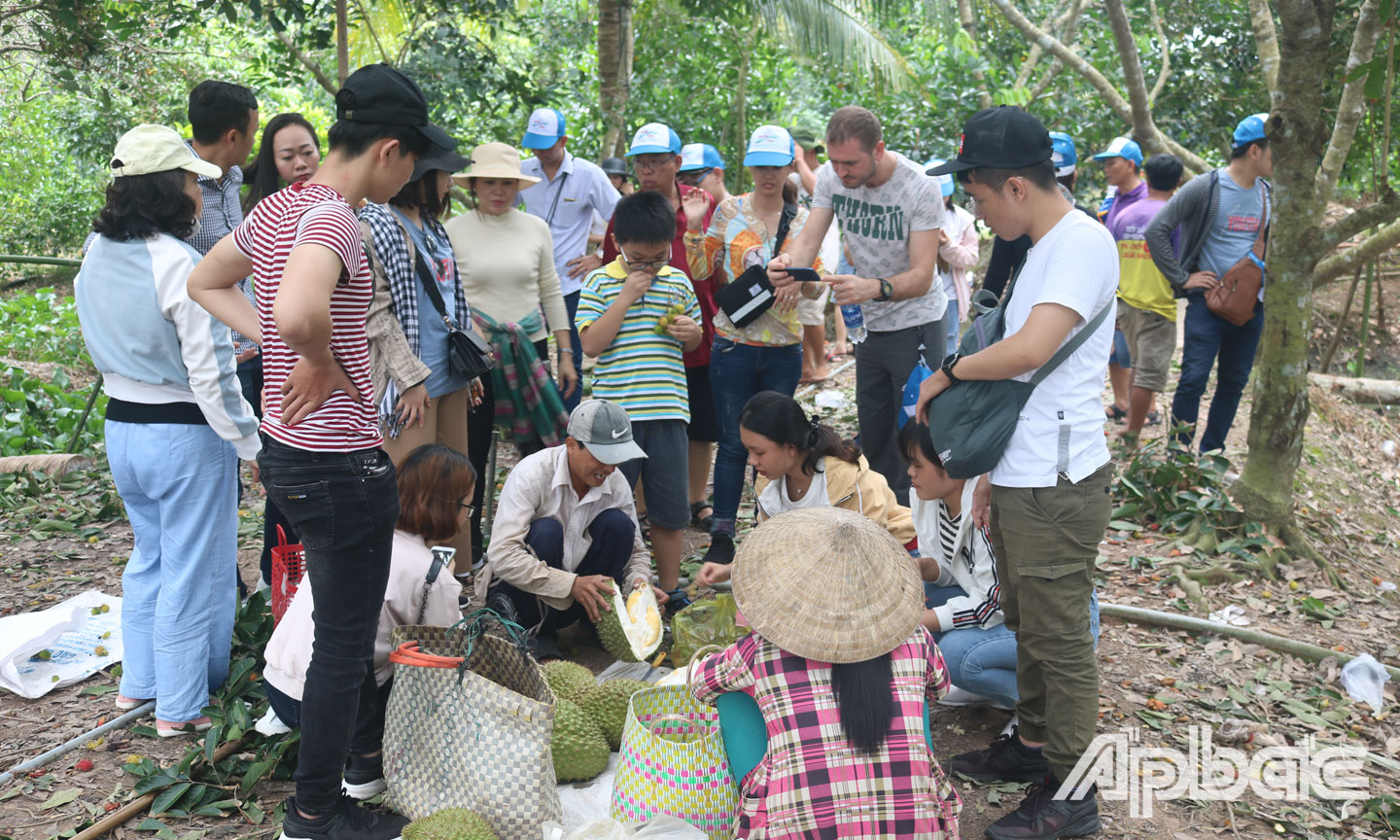 Du khách tham quan vườn cây an trái tại cù lao Tân Phong.