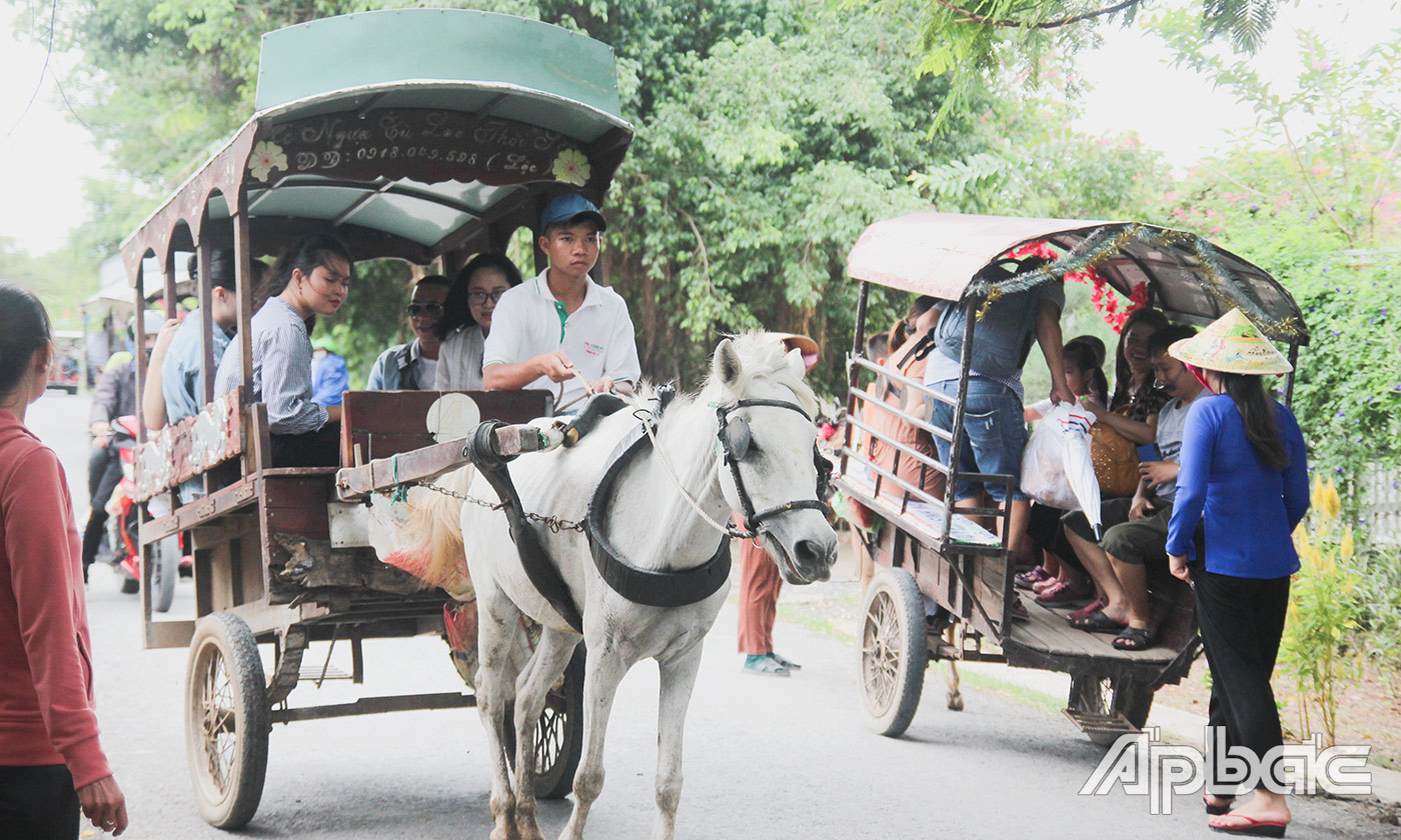 Đi xe ngựa trên cù lao Thới Sơn, TP. Mỹ Tho.