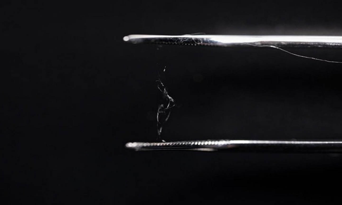  Cellulose từ gỗ và tơ nhện có thể tạo thành vật liệu thay thế nhựa. Ảnh: Scitech Daily