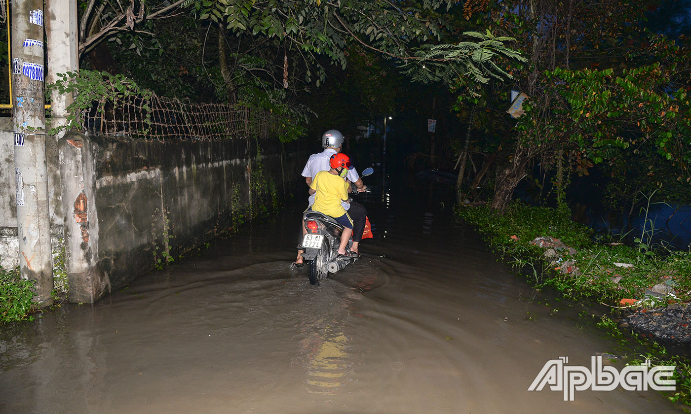 Đường dân sinh ở khu vực cầu Trung Lương (TP. Mỹ Tho) bị ngập, khiến việc đi lại gặp khó khăn. 
