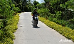 Nông thôn khởi sắc từ sự đồng thuận của 