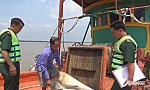 Tạm giữ phương tiện vận chuyển 30.000 lít dầu DO không chứng từ
