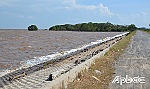 Bài 2: Mong manh đê biển