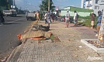 Say rượu tông xe máy vào gốc cây, tử vong tại chỗ