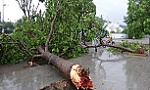 Bão số 5 đổ bộ, 2 người bị thương, 14 ngôi nhà bị sập hoàn toàn