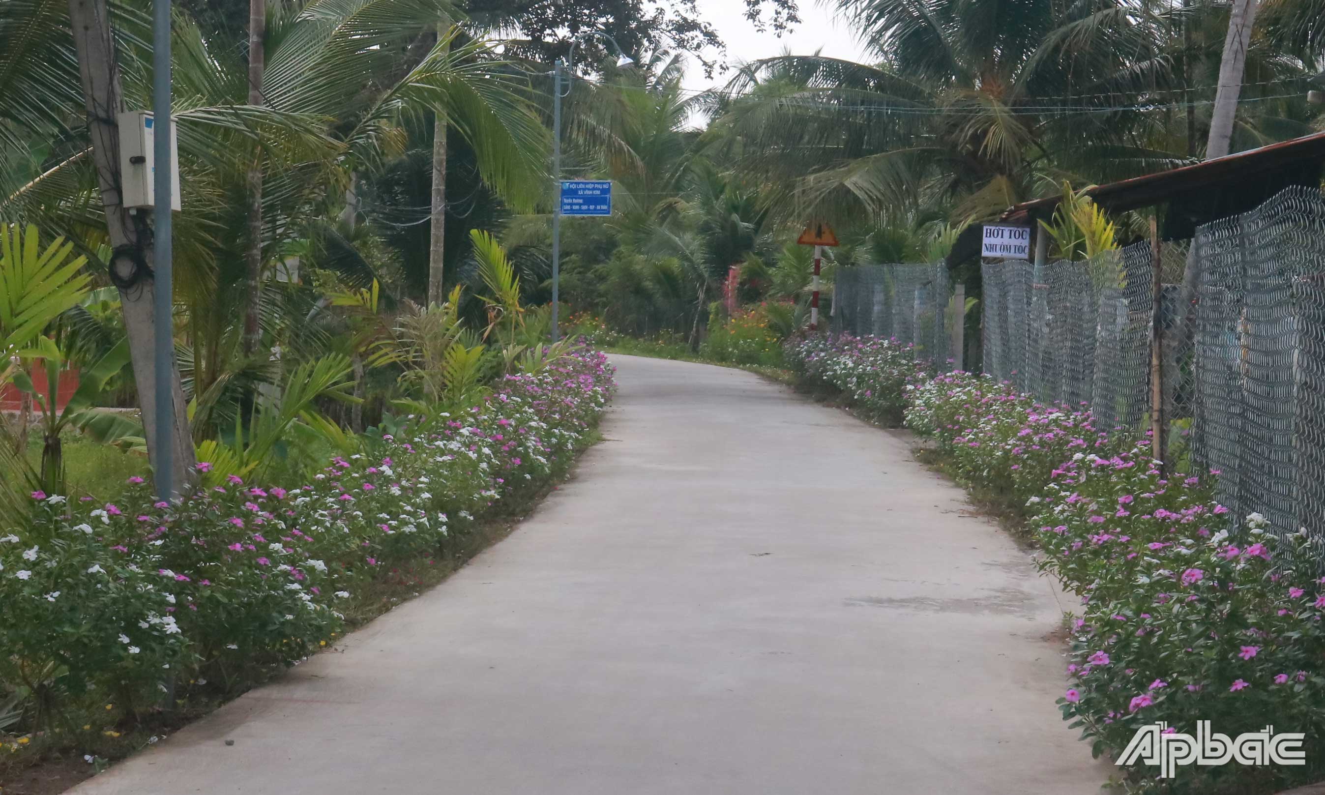 Đường Đỗ Văn Pháo. 		Ảnh: CAO THẮNG