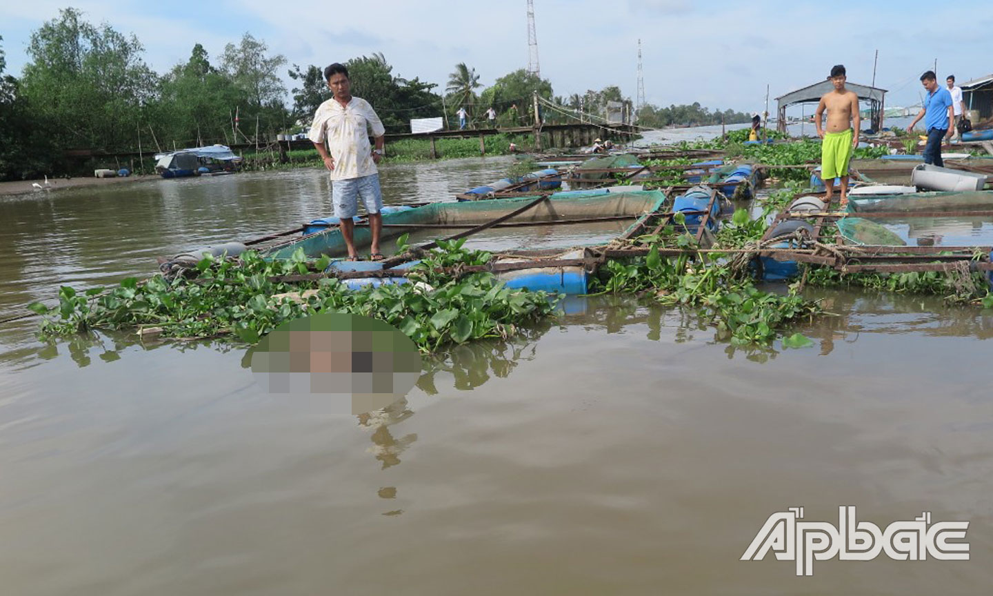 Bè cá nơi phát hiện thi thể.
