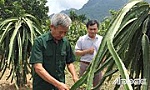 Hiệu quả phong trào  