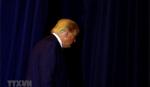 Đảng Dân chủ Mỹ bổ sung 8 nhân chứng luận tội Tổng thống Trump