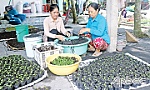 Quan tâm tạo sinh kế cho người dân