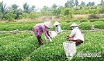 TP. Mỹ Tho: Hướng đến giảm nghèo bền vững