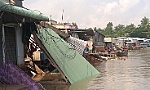 Xói lở và sạt lở bờ sông ở ĐBSCL tăng gấp 7 lần trong vòng 10 năm.