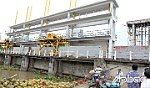 Các huyện phía Đông: Chủ động ứng phó hạn, mặn
