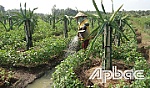 Bình Phan xây dựng xã nông thôn mới: Nâng cao đời sống người dân