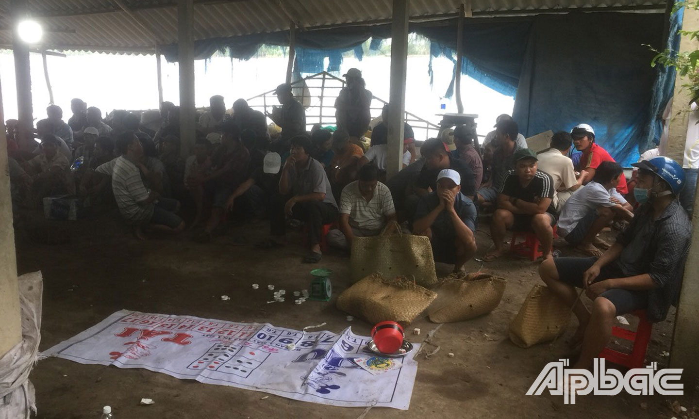 Các đối tượng tham gia đá gà bị bắt giữ.