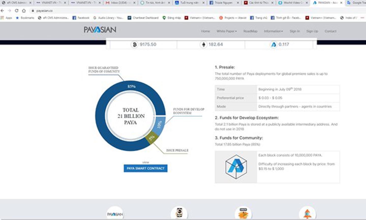 Trang web giới thiệu ví điện tử và tiền ảo Paya được thanh toán tại châu Á. (Ảnh chụp màn hình)