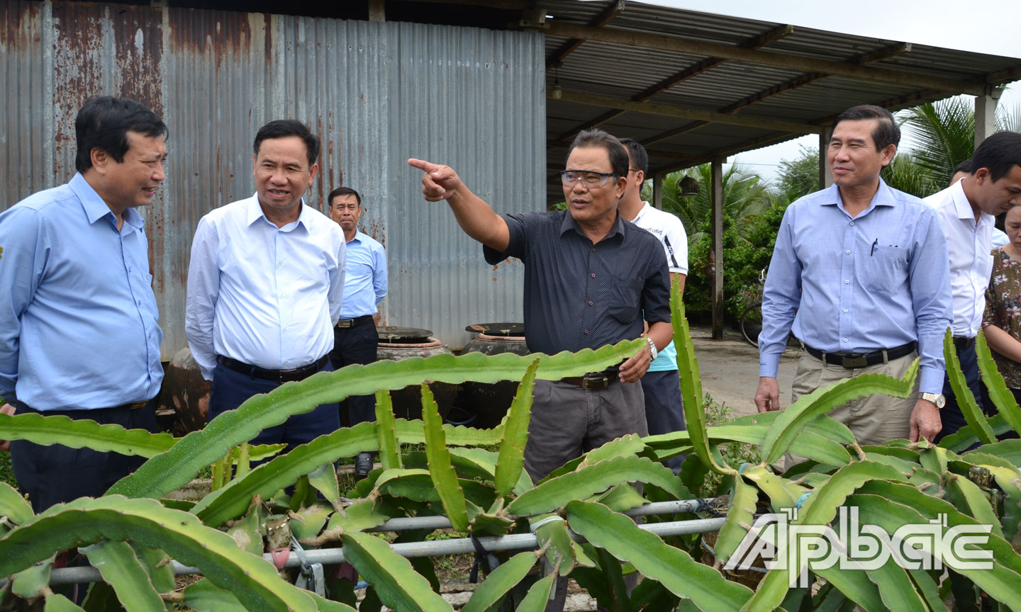 Lãnh đạo UBND tỉnh cùng Đoàn công tác của Bộ NN&PTNT và nhà đầu tư có chuyến khảo sát vùng trồng thanh long của HTX Thanh long Mỹ Tịnh An.