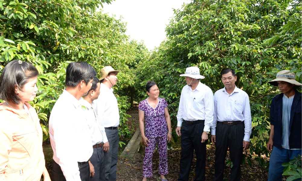 Đồng chí Lê Văn Hưởng trao đổi với ngành chức năng và nông dân ngay tại vườn mãng cầu Xiêm.