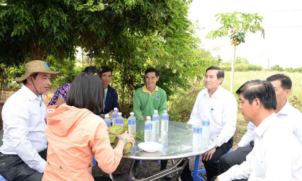 Đồng chí Lê Văn Hưởng trao đổi với ngành chức năng và nông dân ngay tại vườn mãng cầu Xiêm.