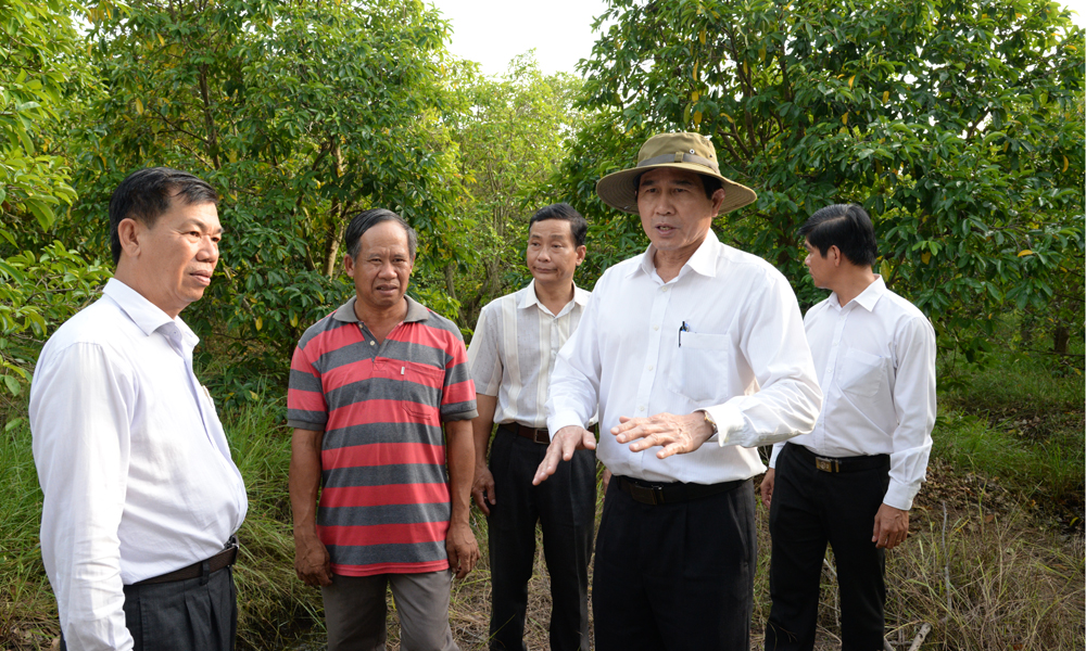Chủ tịch UBND tỉnh yêu cầu ngành Nông nghiệp hỗ trợ cho vườn của ông Nguyễn Thanh Tuấn.