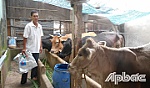 Chuyện làm giàu của anh thương binh