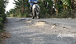 Đường huyện 72 vào xã Mỹ Hội xuống cấp nghiêm trọng