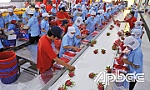 Bài 3: Nâng cao giá trị nông sản Việt