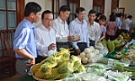 Năm 2019, Tiền Giang có 30 xã đạt chuẩn nông thôn mới