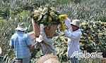 Bài 4: Năng lực cạnh tranh còn thấp