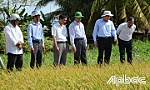Chủ tịch UBND tỉnh Lê Văn Hưởng kiểm tra công tác chống hạn, mặn