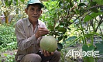 Chuyện làm giàu của một cựu chiến binh