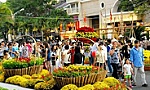 Chỉ thị của Ban Bí thư về việc tổ chức Tết năm 2020