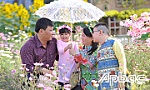 Đồng hành cùng sự nghiệp dân số