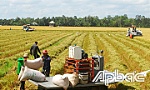 Tạo chuyển biến rõ nét trên lĩnh vực nông nghiệp, nông thôn (*)