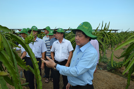 Tiền Giang chuyển đổi mô hình sản xuất