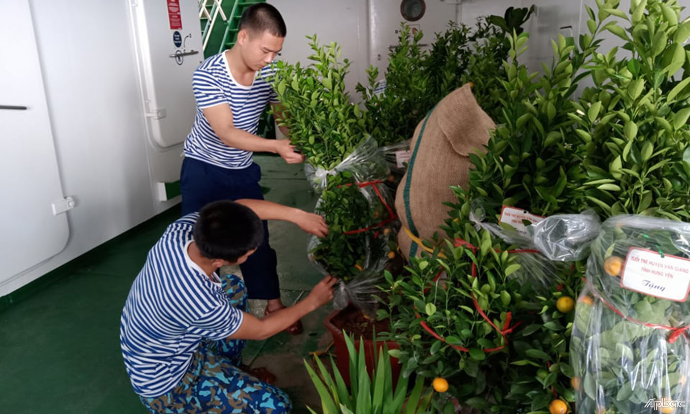 Chiến sĩ trên tàu chăm sóc Quất để gửi lên các đảo