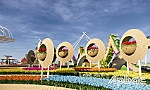 Đường hoa xuân Canh Tý 2020 có gì mới?