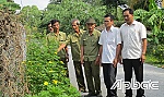 Nhiều 
