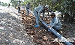 Xã cù lao quyết tâm lên nông thôn mới