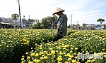 Trồng hoa theo đơn đặt hàng