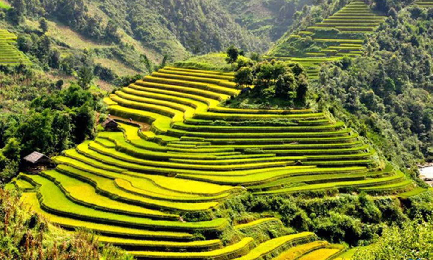 Thắng cảnh Ruộng bậc thang Mù Cang Chải là một trong di tích quốc gia đặc biệt