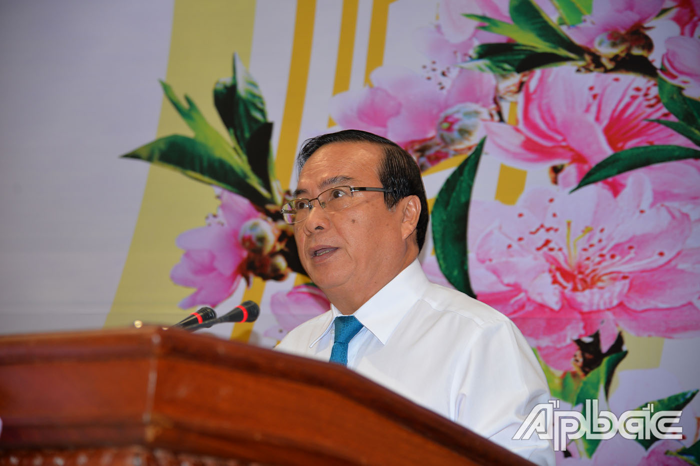 Phó chủ tịch Phạm Anh Tuấn phát biểu tại buổi họp mặt