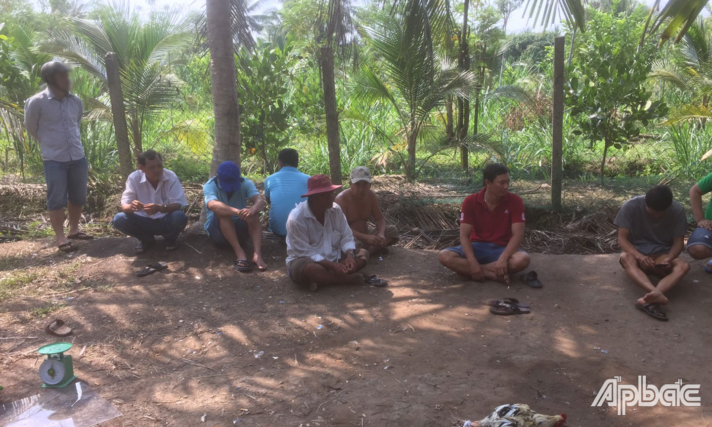 Các đối tượng tham gia đá gà bị bắt quả tang.