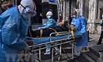 Viện Pasteur Paris nuôi cấy thành công các chủng virus corona mới