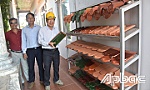 Gạch, Ngói Mỹ Xuân: Tốp đầu của ngành gạch, ngói